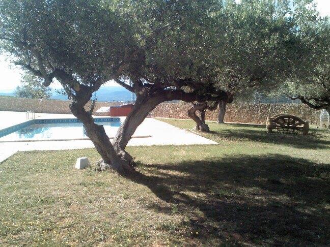 فندق L'Ermita Casa Ripo Vall dʼAlba المظهر الخارجي الصورة